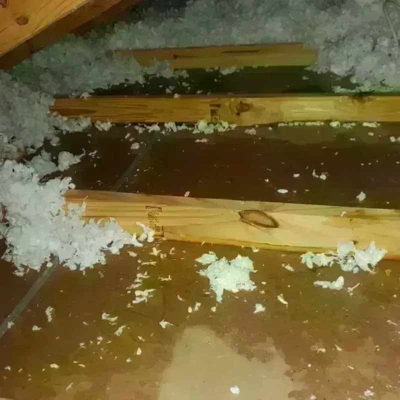 Attic Water Damage in Milton-Freewater, OR